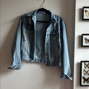 Source Unknown Classic Blue Jean Jacket